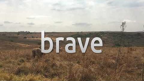 How to install the Brave Browser on Ubuntu 20.10