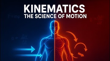 From Whiplash to Walking: The Physics Behind Human Movement