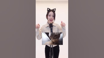 Chipi chipi chapa chapa (Dubidubidu) cover by Hani❣️ #chipichipi #shorts