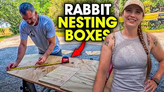 Rabbit Nesting Boxes and Bunnies!