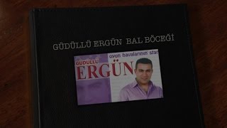 Güdüllü Ergün - Bal Böceği Resimi