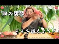空いている土地にモモを植えよう【桃栽培の要点/メリット・デメリット】