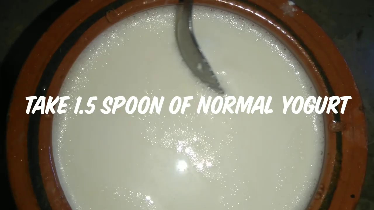 Making yoghurt/ NO BACTERIA by aish's kitchen YouTube
