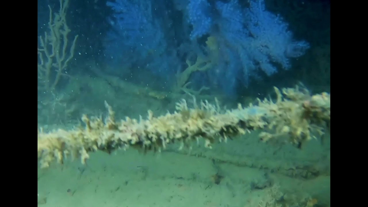 غوص رك جريد المتحدة_ الكابتن عبدالله نقي - غواصين الدمام - الكابتن  أحمد الخنيزي  tec & rec Dive