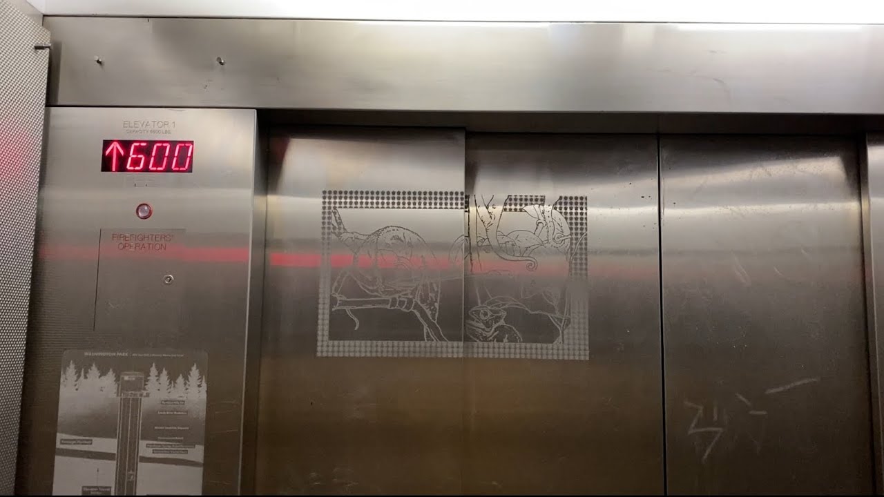 SPEEDY KONE-Montgomery Traction Elevators Pt. 1 | Washington Park MAX Station | Portland, OR