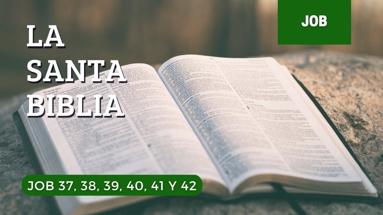 job-37-38-39-40-41-42-d-a-148-la-santa-biblia-biblia-hablada