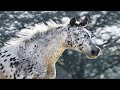 Appaloosa Horse Beautiful Unique Rare Horse Breed Moments