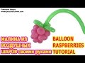 МАЛИНА ИЗ ВОЗДУШНЫХ ШАРОВ своими руками How to Make a Balloon Raspberries their own hands TUTORIAL