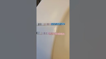 LH test does turn positive when pregnant!!!! FYI...