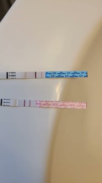 LH test does turn positive when pregnant!!!! FYI...