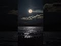 Beautiful Moonlit Ocean 🌙🌊 | Relaxing Night Ambience #shorts