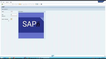 SAP S/4 HANA - 002 Connection to SAP Logon