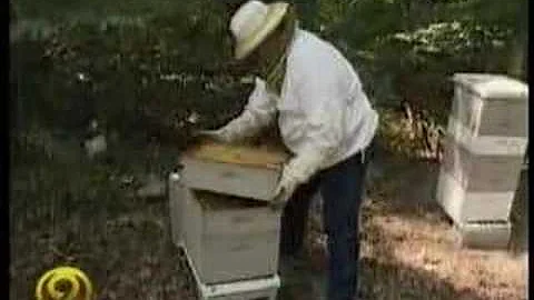 Beekeeping with Bobby Cagle