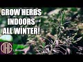 Grow Herbs Inside All Winter! Start Seedlings In The Spring!