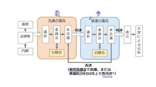 4. 国会の仕事（サムネイル画像）