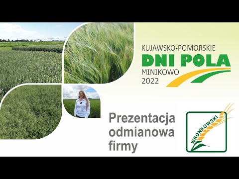 Kujawsko-Pomorskie Dni Pola 2022 - Prezentacja odmianowa firmy Wronkowski