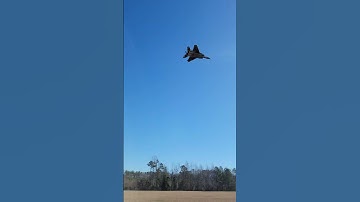 Unleashing the Beast: Arrows F-15 Twin 64mm EDF JET