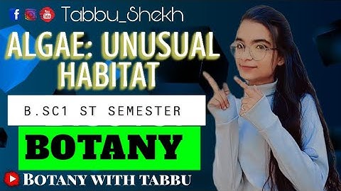 Unusual Habitat of Algae