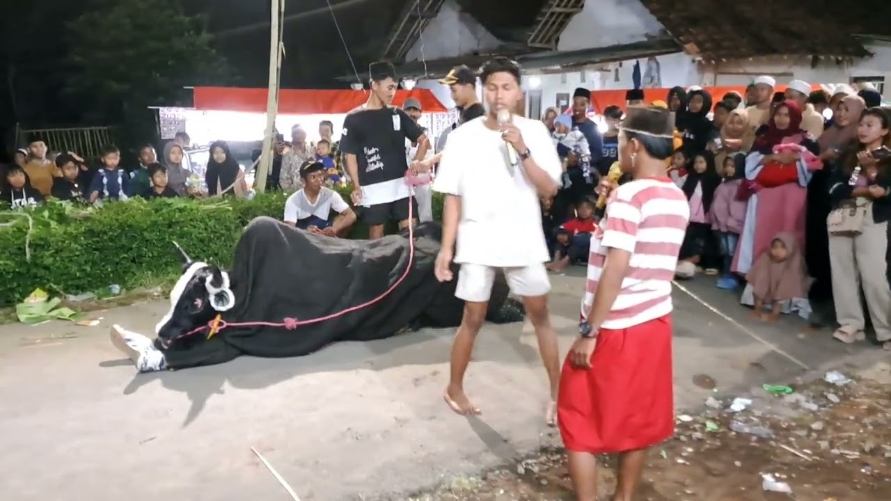 LAWAK ADUAN SAPI NEW MAONG REMAS DI SUMBER SALAK