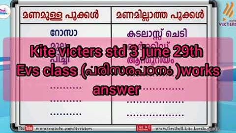 kite victers std 3 june 29th evs class works answer