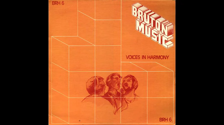 Adrian Baker/Roy Morgan/Andrew Jackman - Voices In...