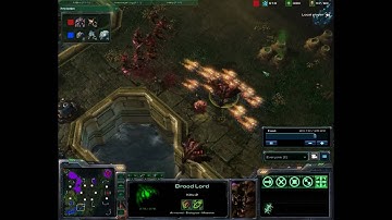 PiF Starcraft2 Beta Casts #1  - HELL, IT