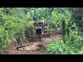 Cat d6r xl bulldozer triumphs over mighty big tree