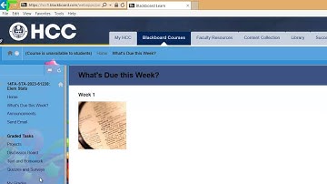 HCC - STA2023 - Orientation - Blackboard
