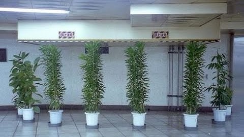 Liminal Spaces but Slowly Gets More Creepy Part 12..