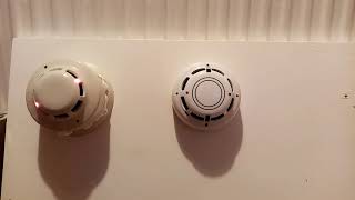 Morley zx5se system test 8 (Hochiki ESP)