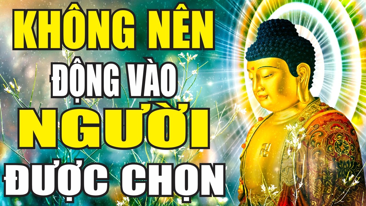 Vì Sao Không Nên Đụng Vào “Người Được Trời Chọn”? – Hiểu Luật Nhân Quả Để Giữ Bình An & Phúc Đức