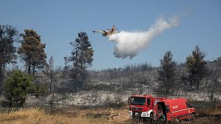 Yunanistan&#39;da orman yangınları: 58 noktada yangın çıktı, beş köy boşaltıldı