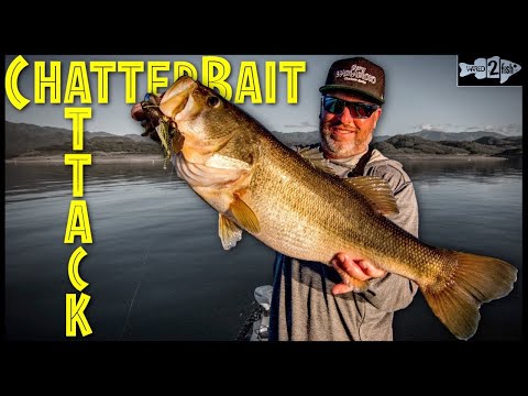 3 Reasons ChatterBaits