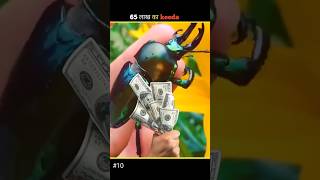 65 लाख का कीड़ा! 😱 World's Most Expensive Insect #Shorts #facts #youtubeshorts