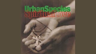 Urban Species - Spiritual Love (Natural 7'')