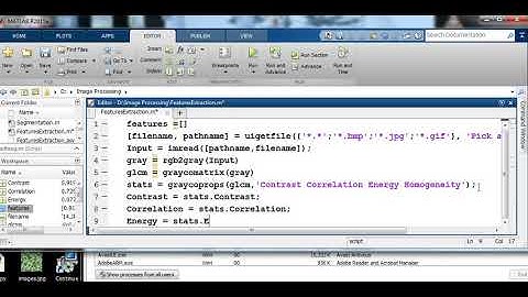 Features Extraction Using GLCM in Matlab