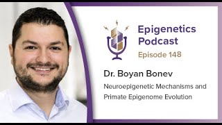 Epi Podcast #148 - Neuroepigenetic Mechanisms and Primate Epigenome Evolution with Boyan Bonev Wealth