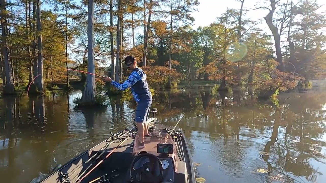 Bass Fishing using a Caffeine Shad
