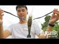 第21集：湄公河上泛舟垂钓，终于收获蓝钳大虾  Shrimp Catch and cook in Bangkok,Thailand