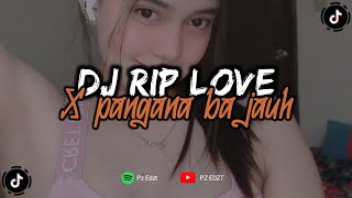 DJ RIP LOVE X PANGANA BA JAUH TIKTOK (Speed Up & Reverb) 🎧