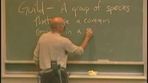 Lecture 08. Ecosystem Ecology I (Biology 1B, Fall 2010, UC Berkeley)