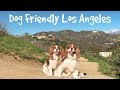 DOG FRIENDLY ACTIVITIES IN LA | A Weekend in our life in LA