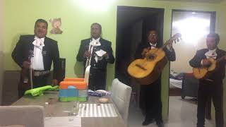 IMG 9125 IMG 9125