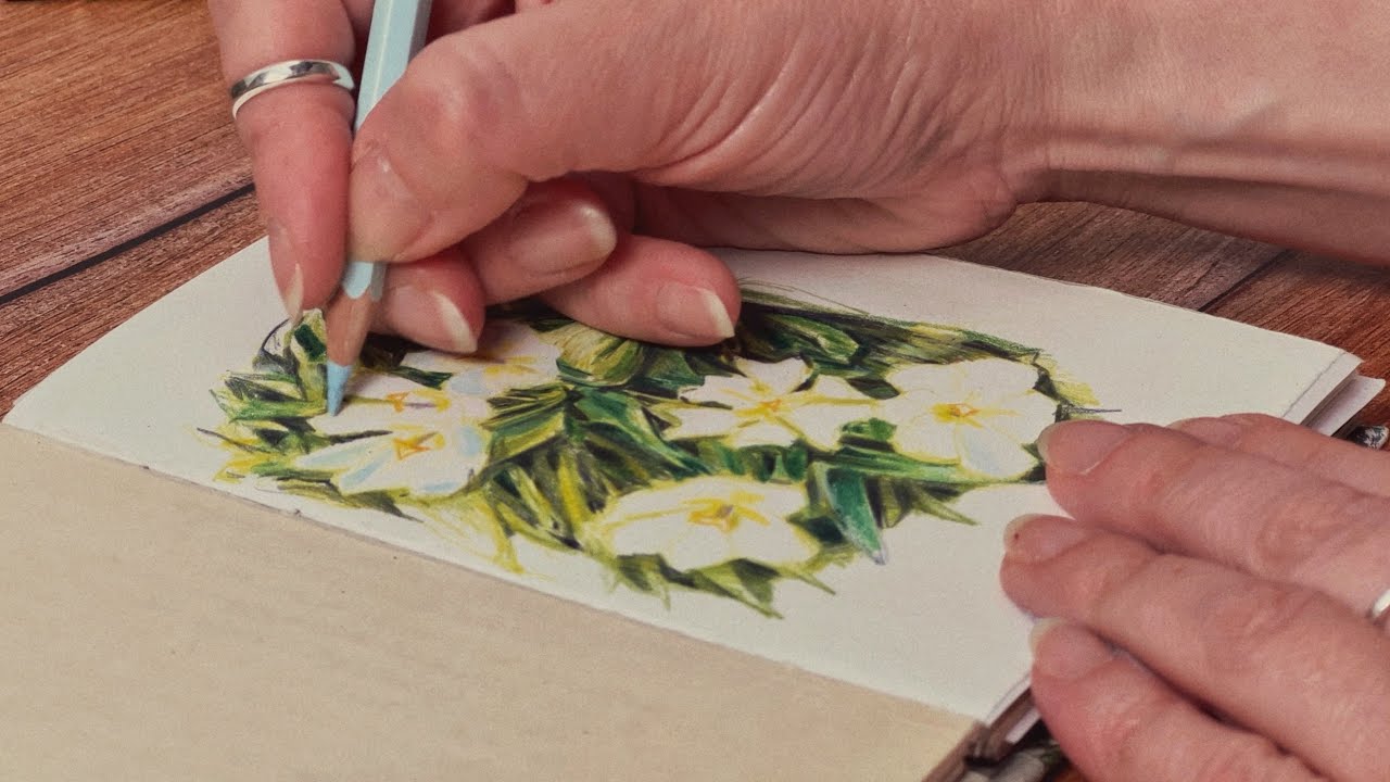 Sketching Spring Blooms: A Calm Sketchbook Session with Soft Piano Music