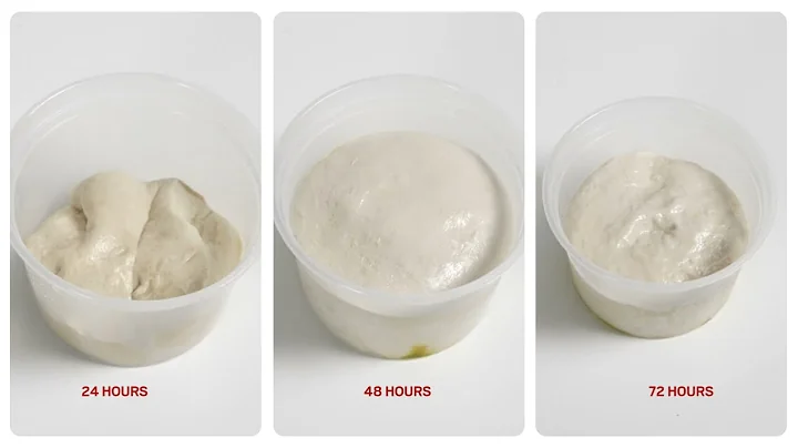 How To Make a 72 Hour Pizza Dough || Master Chef Pizza Oven