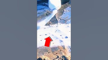 LOÀI VẬT ẨN DƯỚI CÁT | 😨 (Có Thể Bạn Chưa Biết) #dongvat