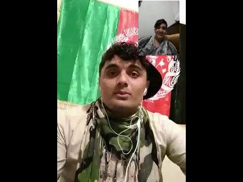 ګف شف لایف ویډو وګوری چی سه دی دخکلو بنډرچینل هم سبسکرایب کړی