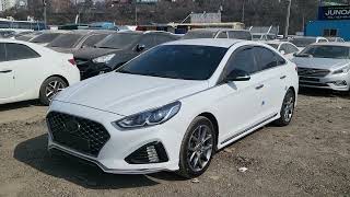 : 2019 Sonata New Rise