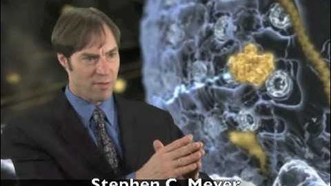 Signature in the Cell: The First Year