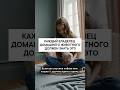 Каждый хозяин домашних питомцев должен знать это